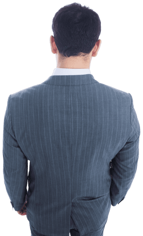 Rear View of Biracial Businessman in Pinstriped Suit on Transparent Background