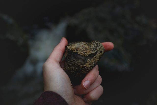 Image depicts a close-up of a hand holding a heart-shaped rock against a dark background. Useful for themes related to nature, geology, love of nature, unique finds, or environmental awareness. Ideal for use in blogs, educational materials, or promotional content about natural beauty or outdoor activities.