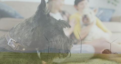 Terrier portrait double exposure with wind turbines conveying companionship and green energy
