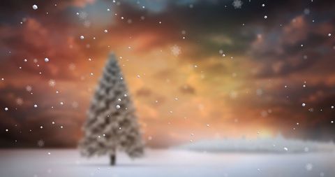 Enchanting Winter Wonderland with Snowfall and Christmas Tree