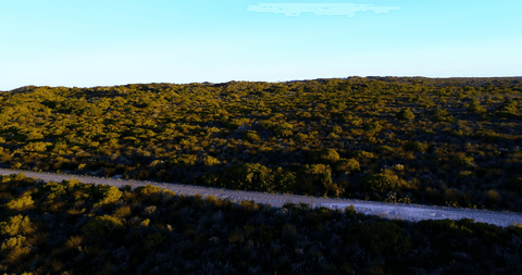 transparent coastal landscape with dirt path under clear blue sky - Download Free Stock Videos Pikwizard.com