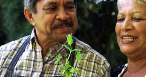 Happy Senior Latino Couple Enjoying Gardening Together - Download Free Stock Images Pikwizard.com