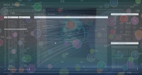 Global Network Interface with Data and Connections