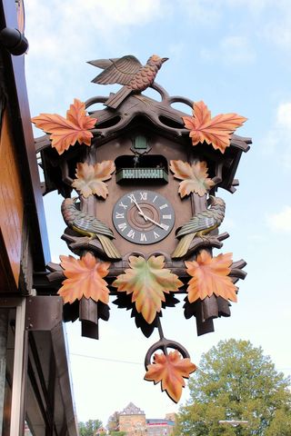 Ornate Cuckoo Clock with Decorative Leaves and Birds