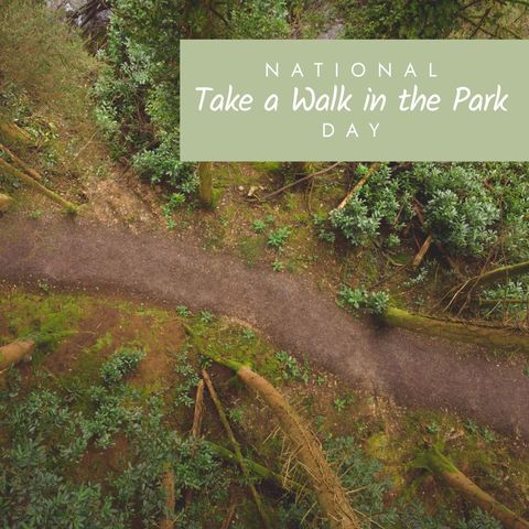 National Take A Walk In The Park Day Celebrated on Forest Path - Download Free Stock Templates Pikwizard.com