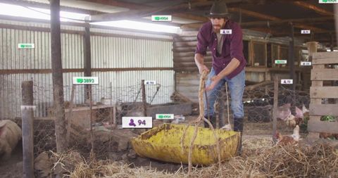 Farmer managing barn work with trough and chickens