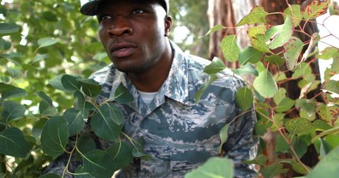 Alert Military Soldier in Forested Area During Exercise - Download Free Stock Images Pikwizard.com