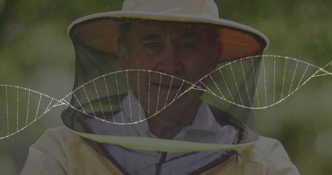 Senior beekeeper wearing protective veil with dna helix overlay for bee genetics study