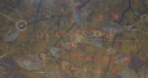 Abstract Cybersecurity Concept Digital Overlay Tree Background