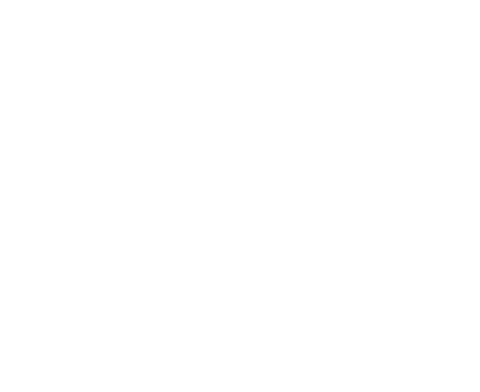 Transparent silhouette of woman with smartphone