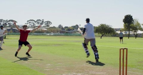 Batsman running to crease while fielder appeals on sunny suburban cricket pitch outfield