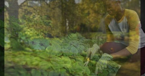 Gardener cultivating plants eco-friendly outdoor activity