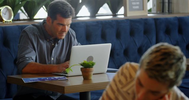 Adult Man Working on Laptop in Modern Cafe Environment - Download Free Stock Images Pikwizard.com