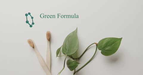 Eco-Friendly Wooden Toothbrushes with Green Leaves