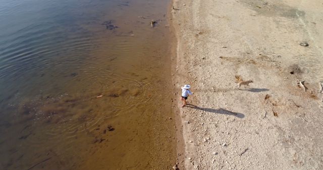 Aerial View of Beachgoer Walking Dog on Tranquil Lakeshore - Download Free Stock Images Pikwizard.com