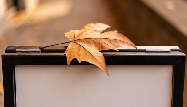 Dry maple leaf resting on black sign frame with warm autumn bokeh