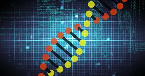 Digital dna strand overlay genomics and technology