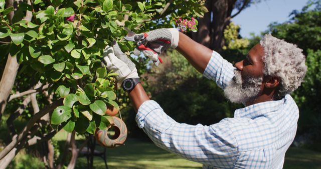 Senior man pruning a tree wearing gloves and a checkered shirt, focusing on his task in a lush garden. Suitable for illustrating articles on gardening tips, healthy retirement activities, outdoor hobbies, and nature care.
