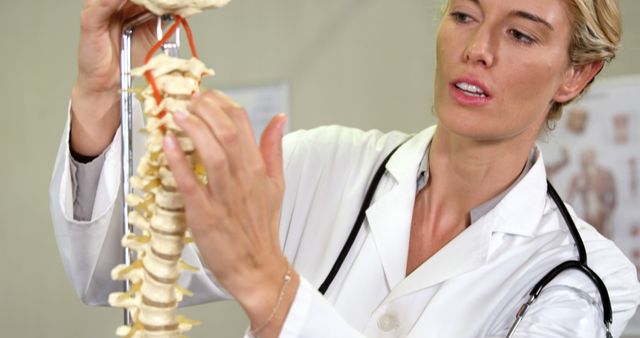 Female doctor closely examining and explaining a spine model in medical office. Perfect for use in medical websites, educational materials, orthopedic and chiropractic services, healthcare training presentations, and anatomy study resources.