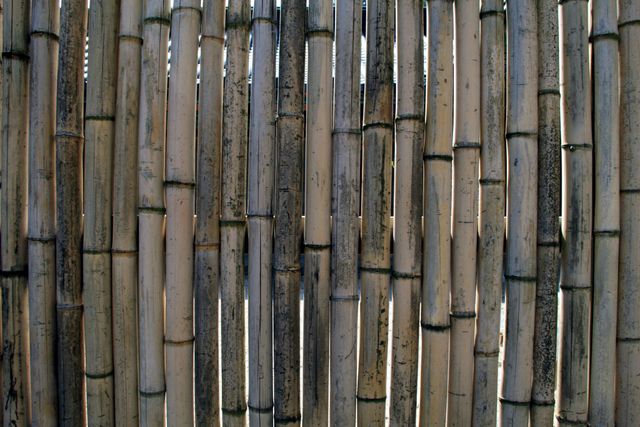 Bamboo bamboo wall fence wall - Download Free Stock Photos Pikwizard.com