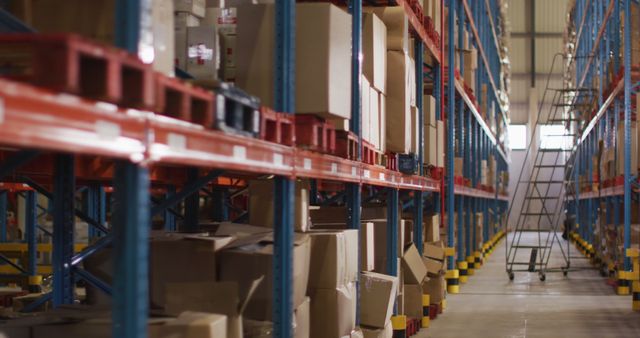 Empty warehouse with multiple boxes on shelfs with ladder on floor - Download Free Stock Photos Pikwizard.com