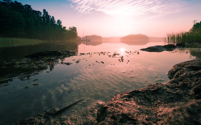 This peaceful scene captures a pink sunrise over a calm lake with rocks and surrounded by trees. Ideal for nature calendars, wallpapers, motivational posters, and environmental campaigns.