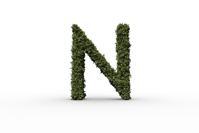 Green Leafy N Letter on Transparent Background - Download Free Stock Videos Pikwizard.com