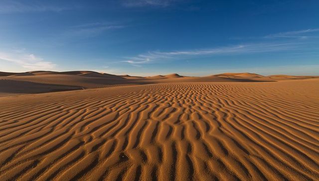 Wind-sculpted sand ripples stretching toward horizon during golden hour across vast desert dunes