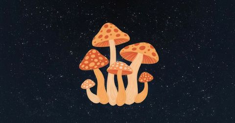 Floating red mushrooms in celestial backdrop illustrating imagination