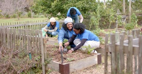 Diverse community garden volunteers planting seedlings in raised beds, teamwork and care