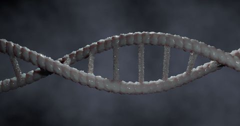 Detailed DNA Strand on Black Background - Download Free Stock Images Pikwizard.com