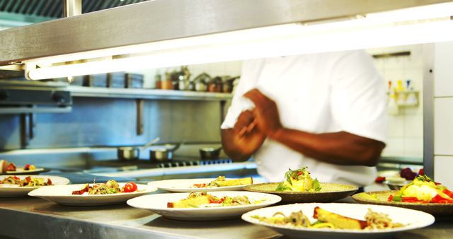 Professional Chef Preparing Gourmet Dishes in Restaurant Kitchen - Download Free Stock Images Pikwizard.com