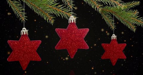 Festive red star ornaments hanging on pine branch