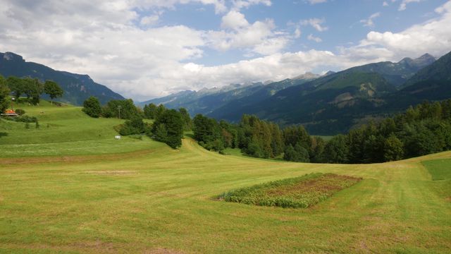 Lush green meadow with picturesque view of Alpine mountains in background. Clear sky dotted with clouds adds beauty. Ideal for websites, blogs, travel promotions, nature magazines.