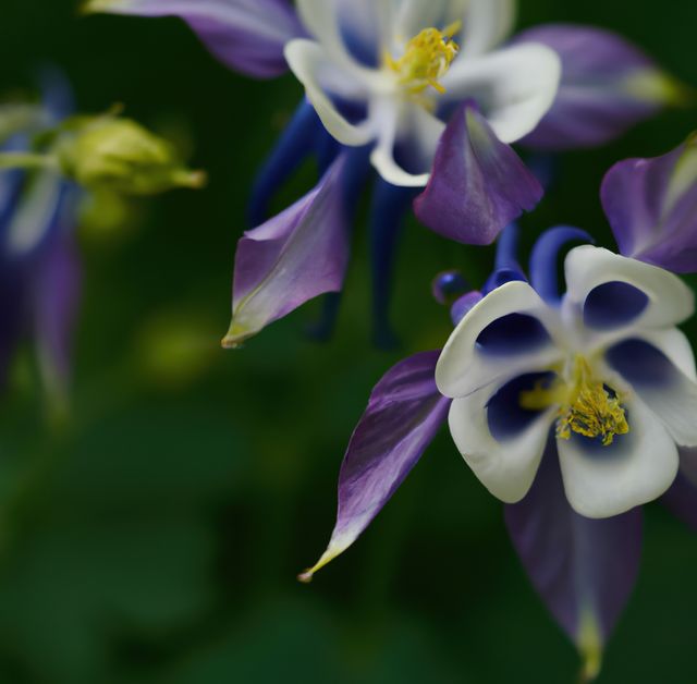 Close up of columbine flowers over leaves created using generative ai technology. Nature and harmony concept, digitally generated image.