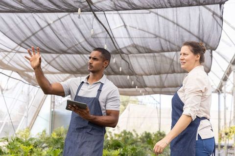 Greenhouse team inspecting grow lights and plants while using tablet for plant care