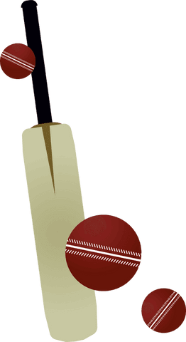dynamic cricket equipment illustration on transparent background - Download Free Stock Videos Pikwizard.com