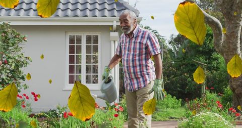Senior Man Watering Garden Amidst Falling Leaves