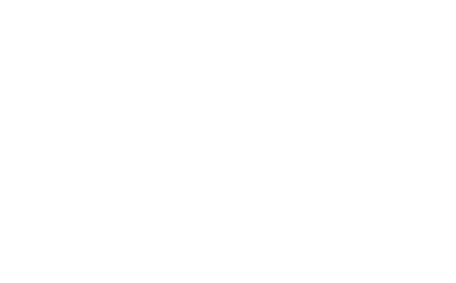 Black Silhouette Butterfly Icon on Transparent Background - Download Free Stock Videos Pikwizard.com