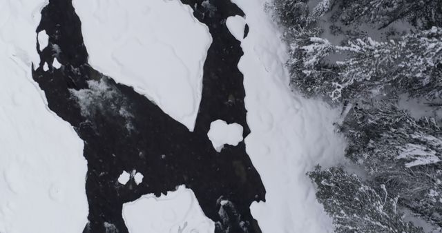 Aerial View of Snowy River Surrounded by Fir Trees in Winter - Download Free Stock Images Pikwizard.com