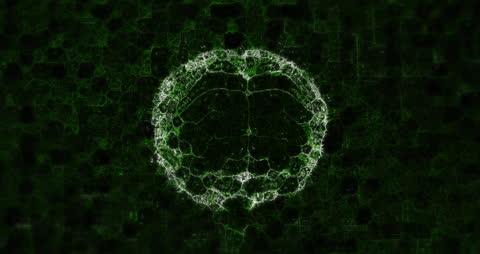 Astral Swirled Brain with Formula Overlay on Dark Background