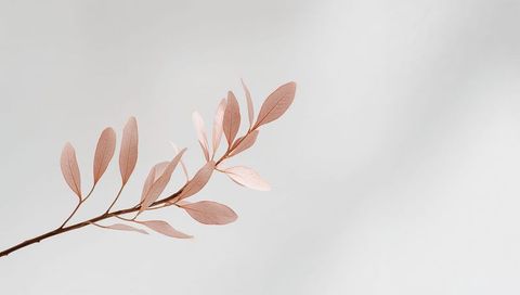 Slender peach leaf branch with veined pink foliage on soft neutral backdrop