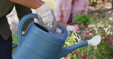 Gardening couple nurturing plants together outdoors