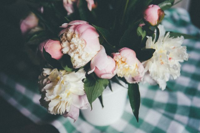 Close-Up of Fresh Peonies on a Checkered Cloth - Download Free Stock Photos Pikwizard.com