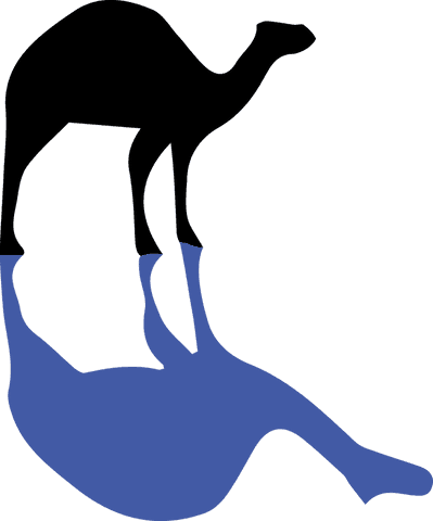 Silhouette of camel and reflection with transparent background