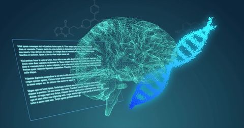 Digital Visualization of DNA and Brain Mapping Over Data - Download Free Stock Images Pikwizard.com