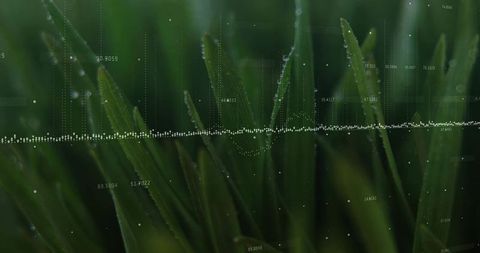 Macro dew on grass blades showing digital waveform and vertical data grid overlay