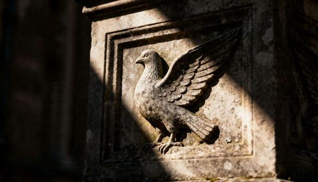 Sunlit weathered stone dove relief on mossy pedestal