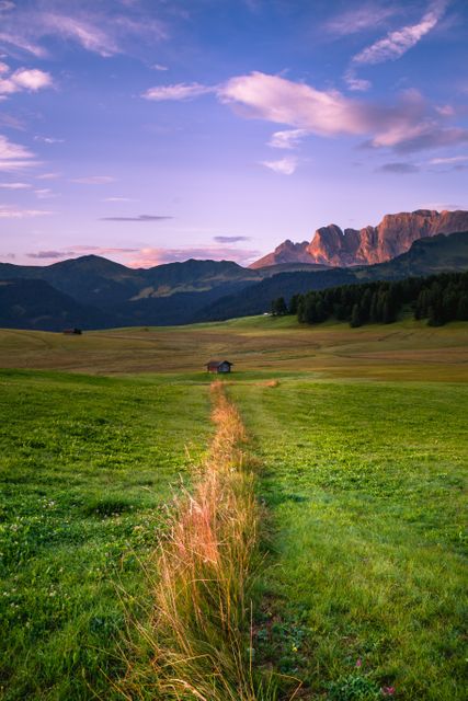 The image portrays a serene countryside setting featuring a narrow path leading through a lush, green field towards a small cabin. In the background, the silhouette of majestic mountains is beautifully illuminated by the soft hues of the setting sun, creating a tranquil atmosphere. Ideal for uses related to travel promotion, nature appreciation, rural landscape decor, inspirational themes, and outdoor activities marketing.