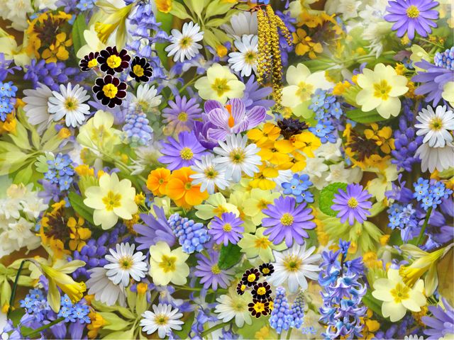 Ideal for floral posters, nature-themed backgrounds, garden plant catalogs, Spring greeting cards, and botany websites. Offers a vivid representation of diverse spring wildflowers in a vibrant, blooming arrangement.